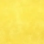 Vibrant Yellow